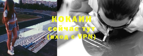 мескалин Няндома