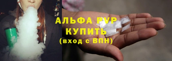 стаф Новодвинск