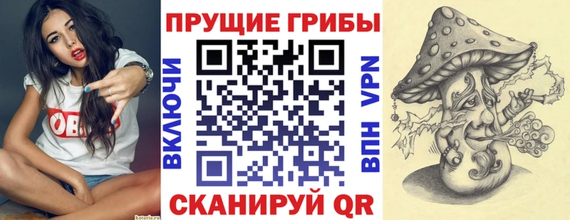 Галлюциногенные грибы Psilocybe  Чайковский 